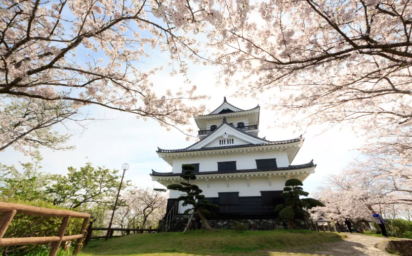 Tateyama City Museum Main Building, Japan
